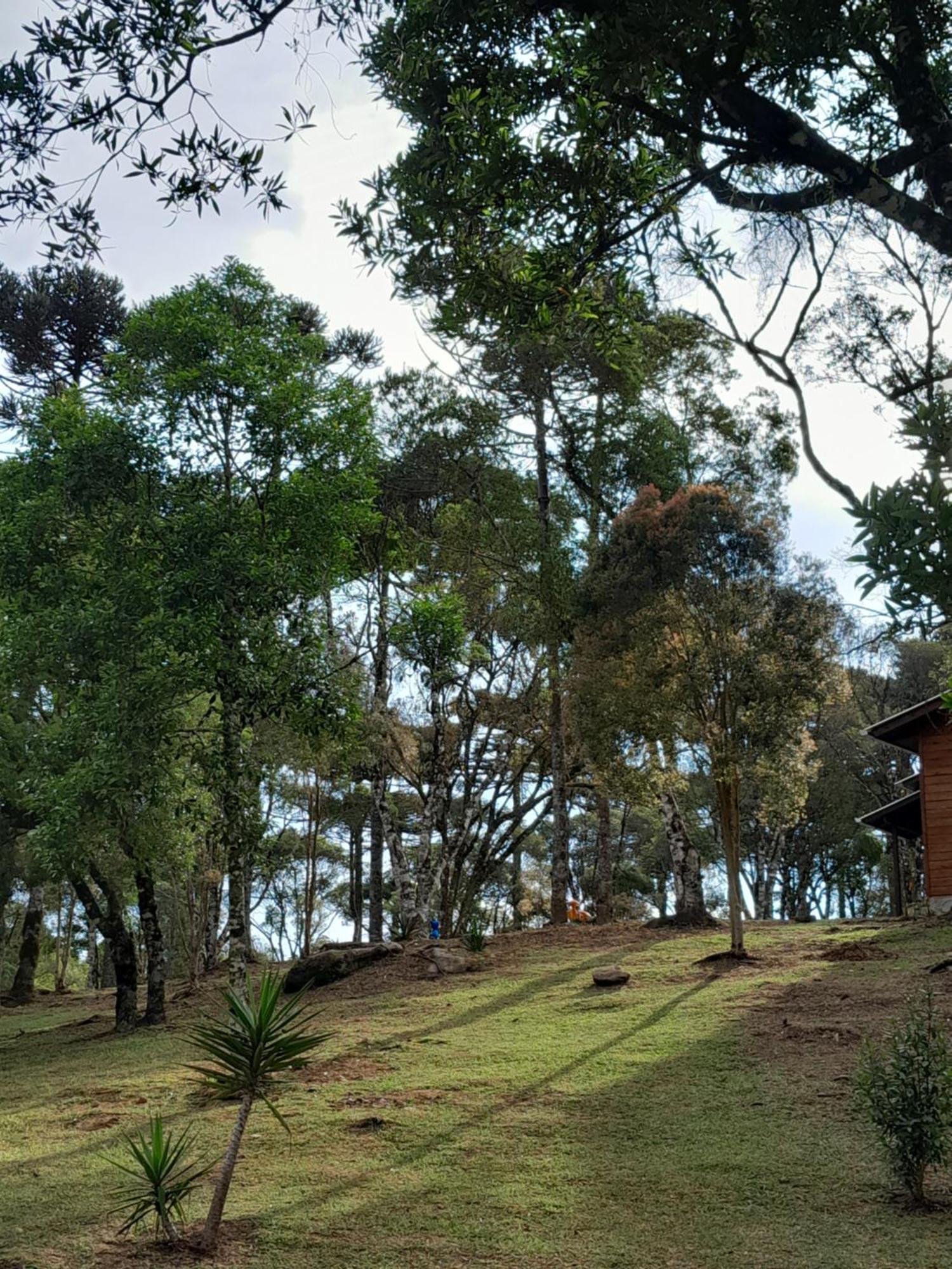 Dos Pinheiros Сasa de vacaciones