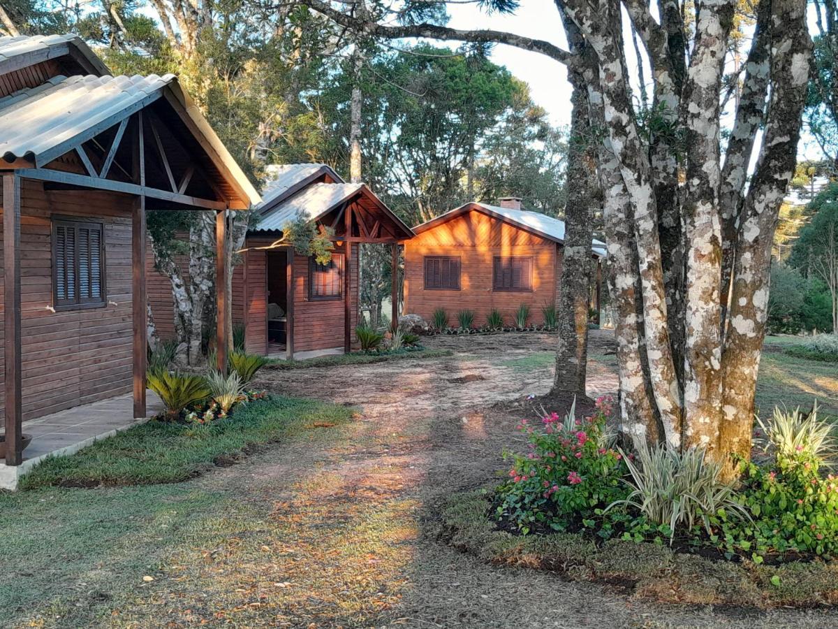 Dos Pinheiros Sao Francisco de Paula (Rio Grande do Sul)