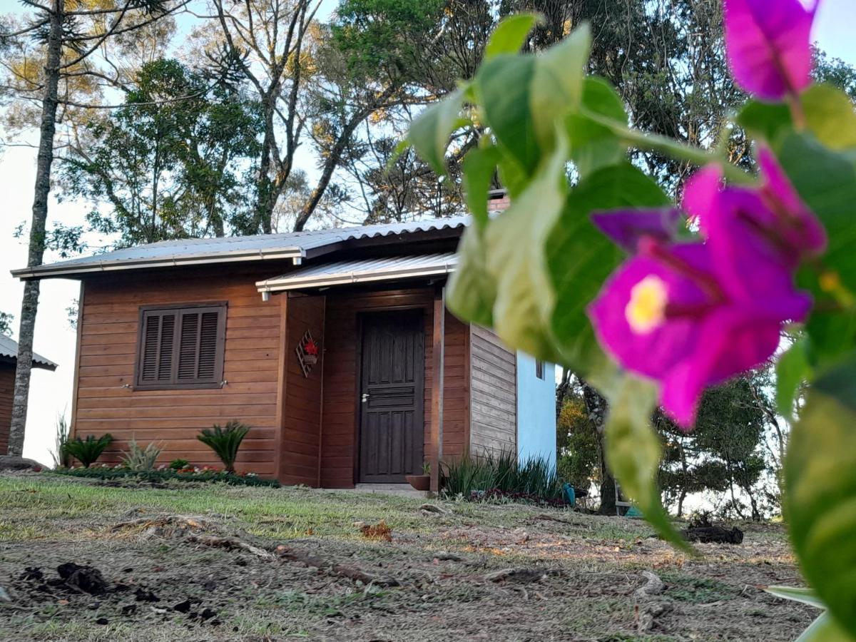 Dos Pinheiros Sao Francisco de Paula (Rio Grande do Sul)