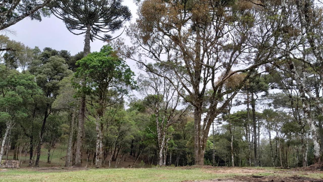 Dos Pinheiros Sao Francisco de Paula (Rio Grande do Sul)