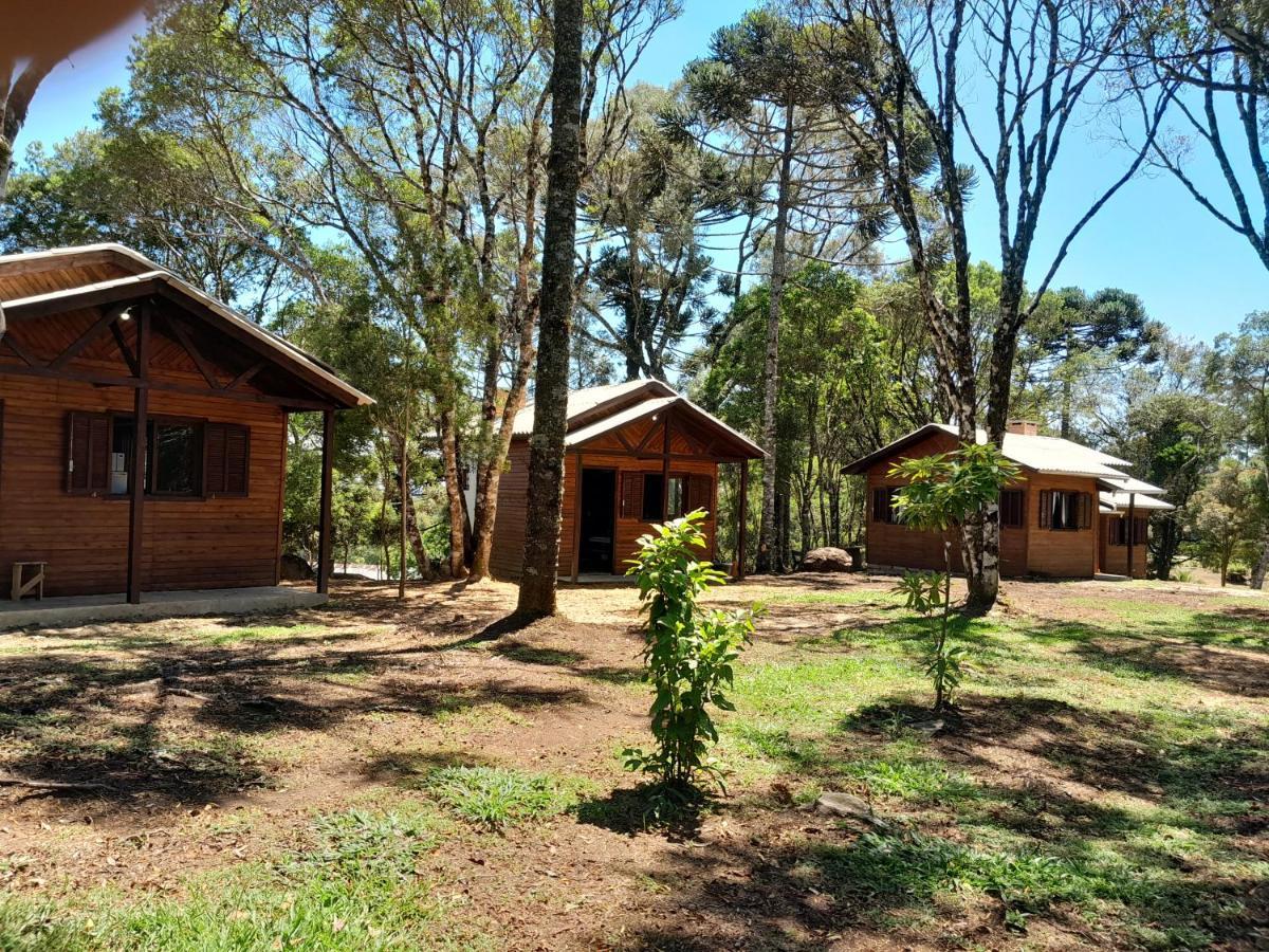 Dos Pinheiros * Sao Francisco de Paula (Rio Grande do Sul)