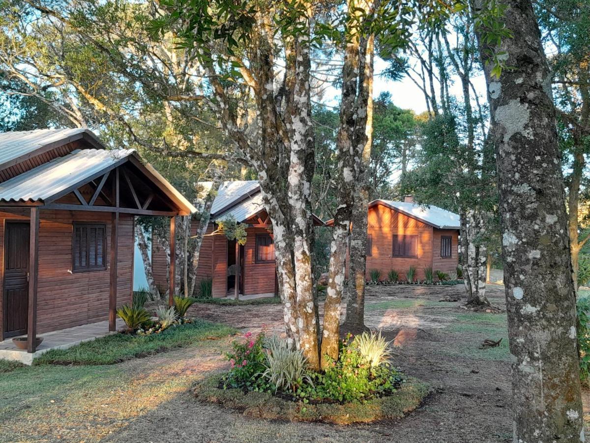 Holiday home Dos Pinheiros *