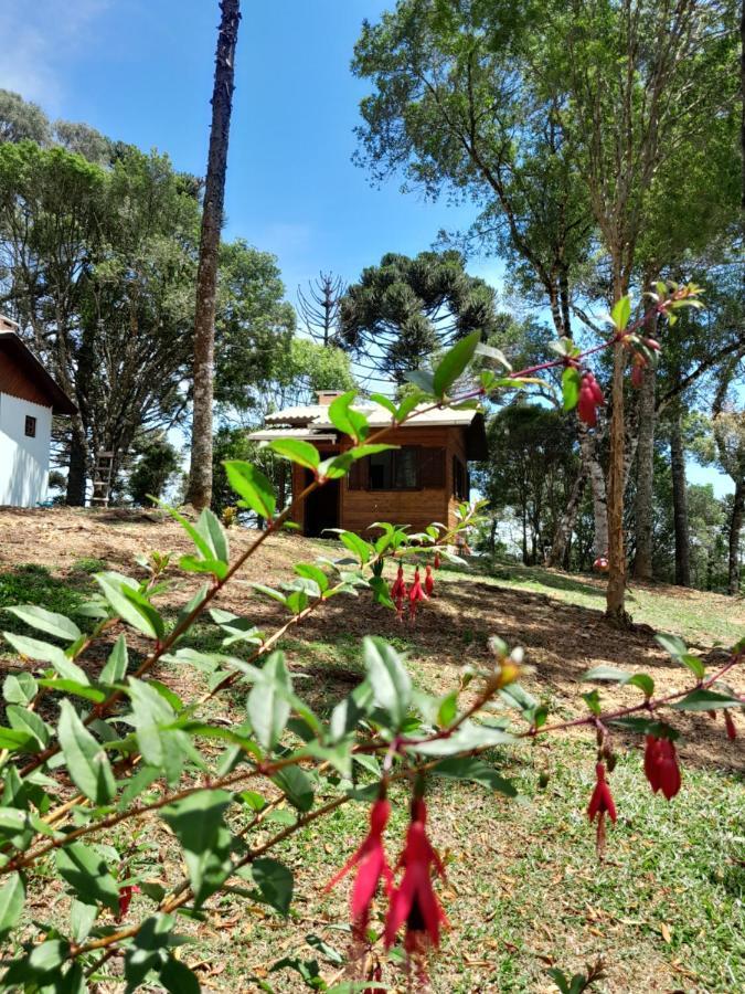Holiday home Dos Pinheiros *