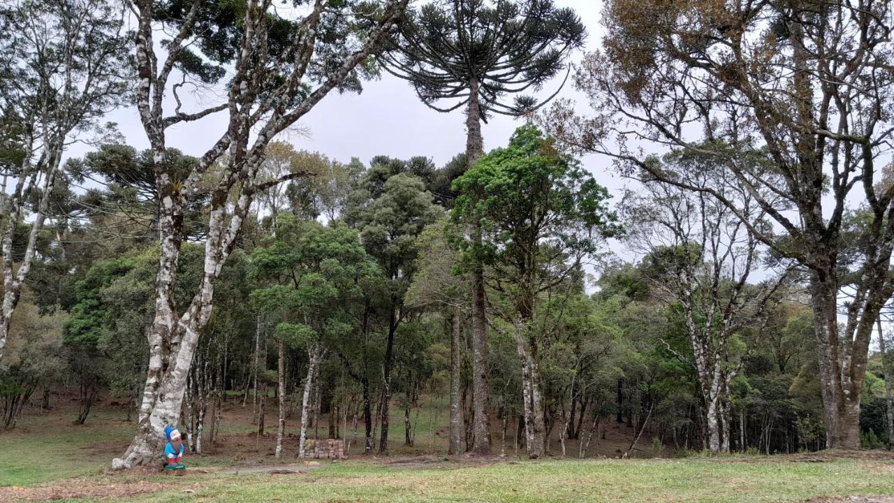 Holiday home Dos Pinheiros *