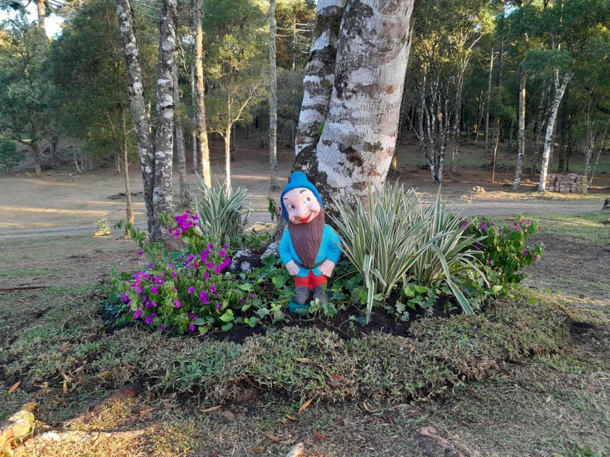 Holiday home Dos Pinheiros
