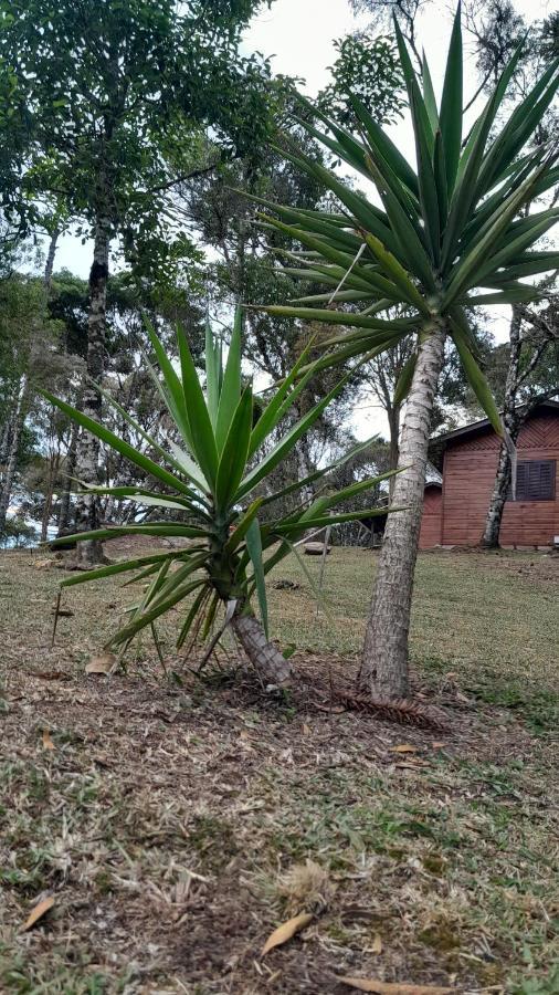 Dos Pinheiros Holiday home Sao Francisco de Paula (Rio Grande do Sul)