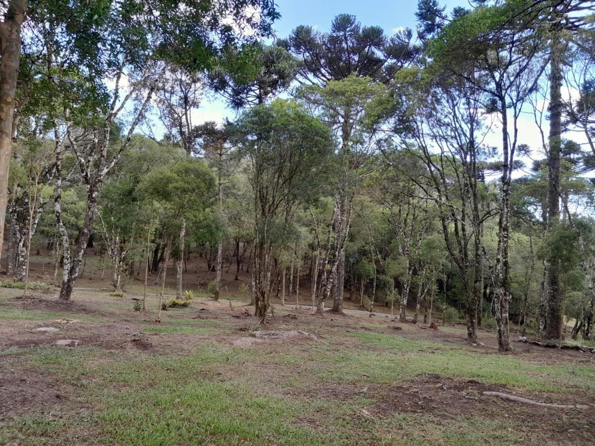 Dos Pinheiros Holiday home