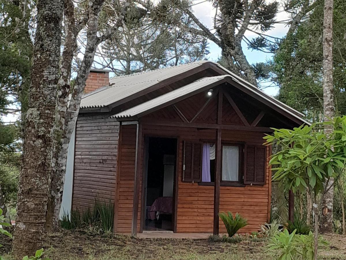 Dos Pinheiros Holiday home
