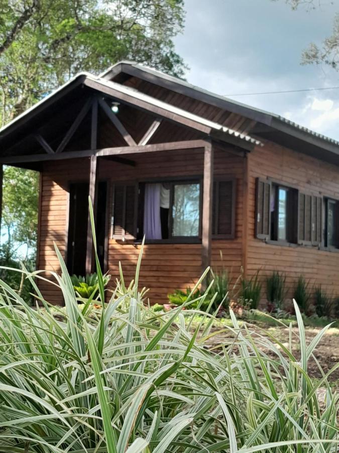 Dos Pinheiros Holiday home *