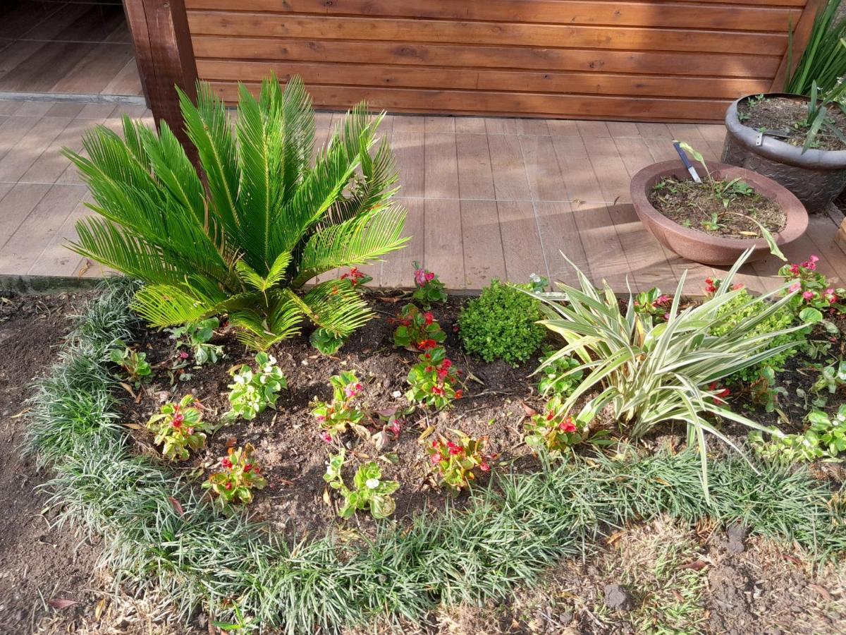 Holiday home Dos Pinheiros