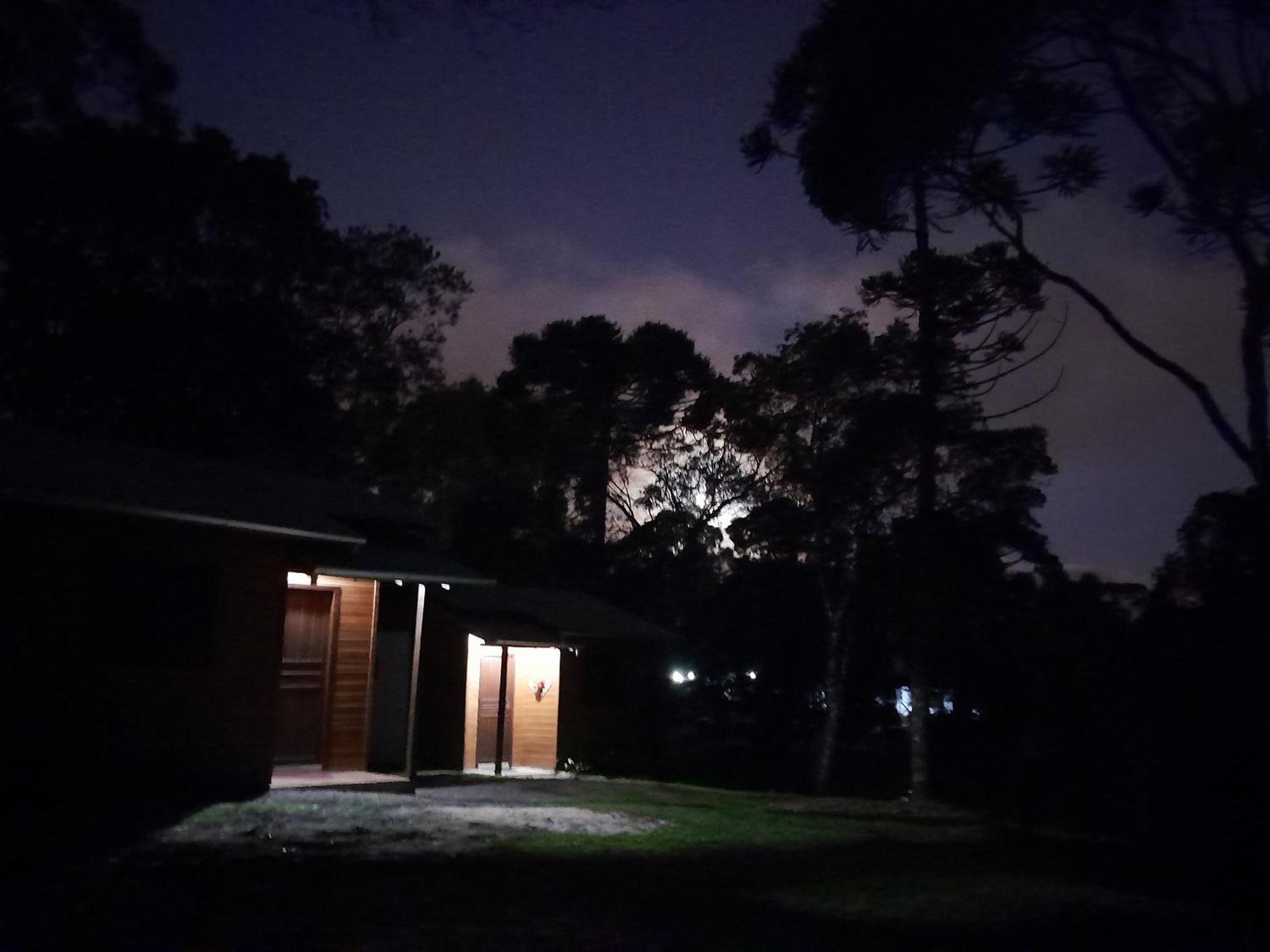 Holiday home Dos Pinheiros *