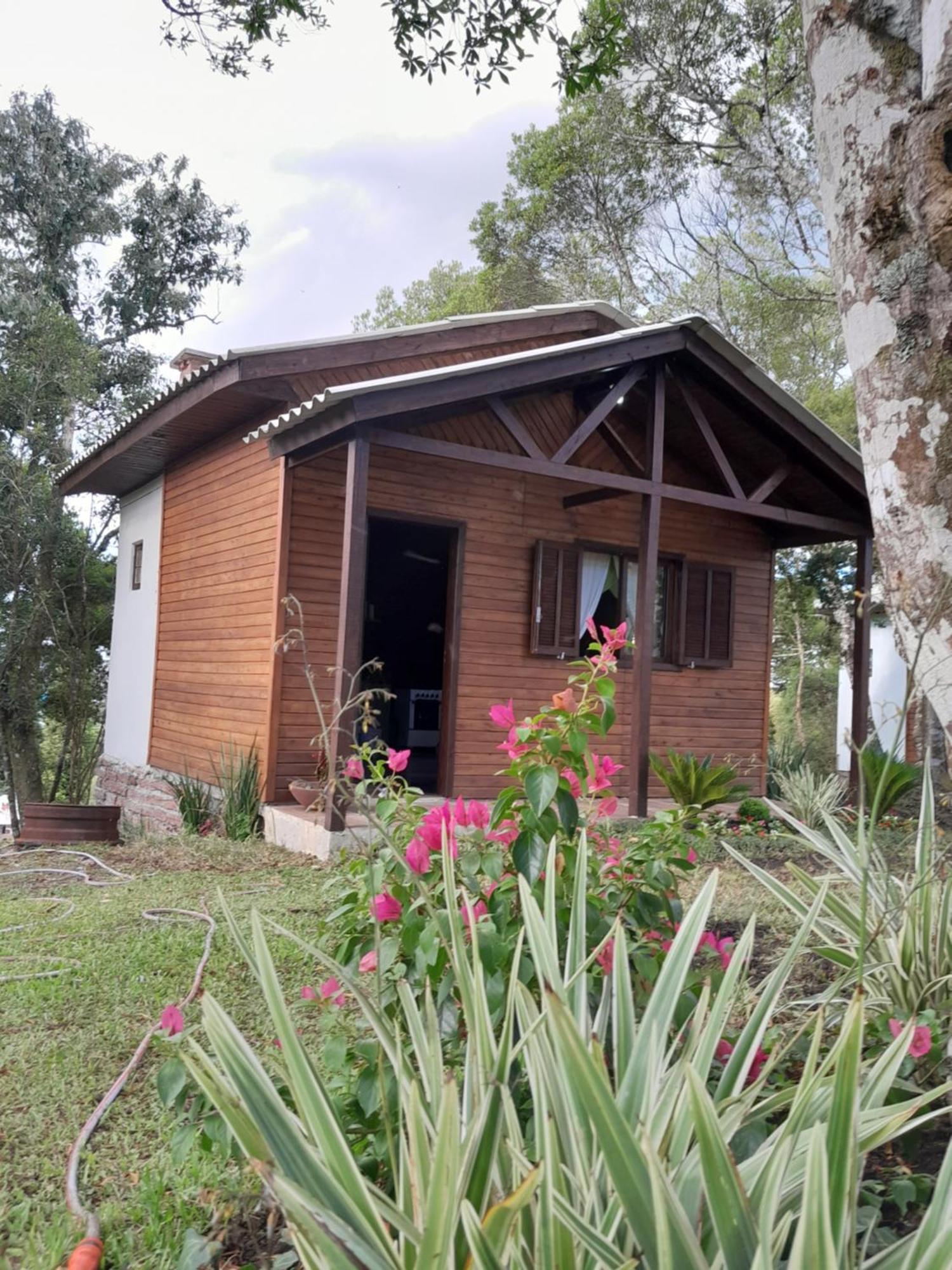 Dos Pinheiros Holiday home *