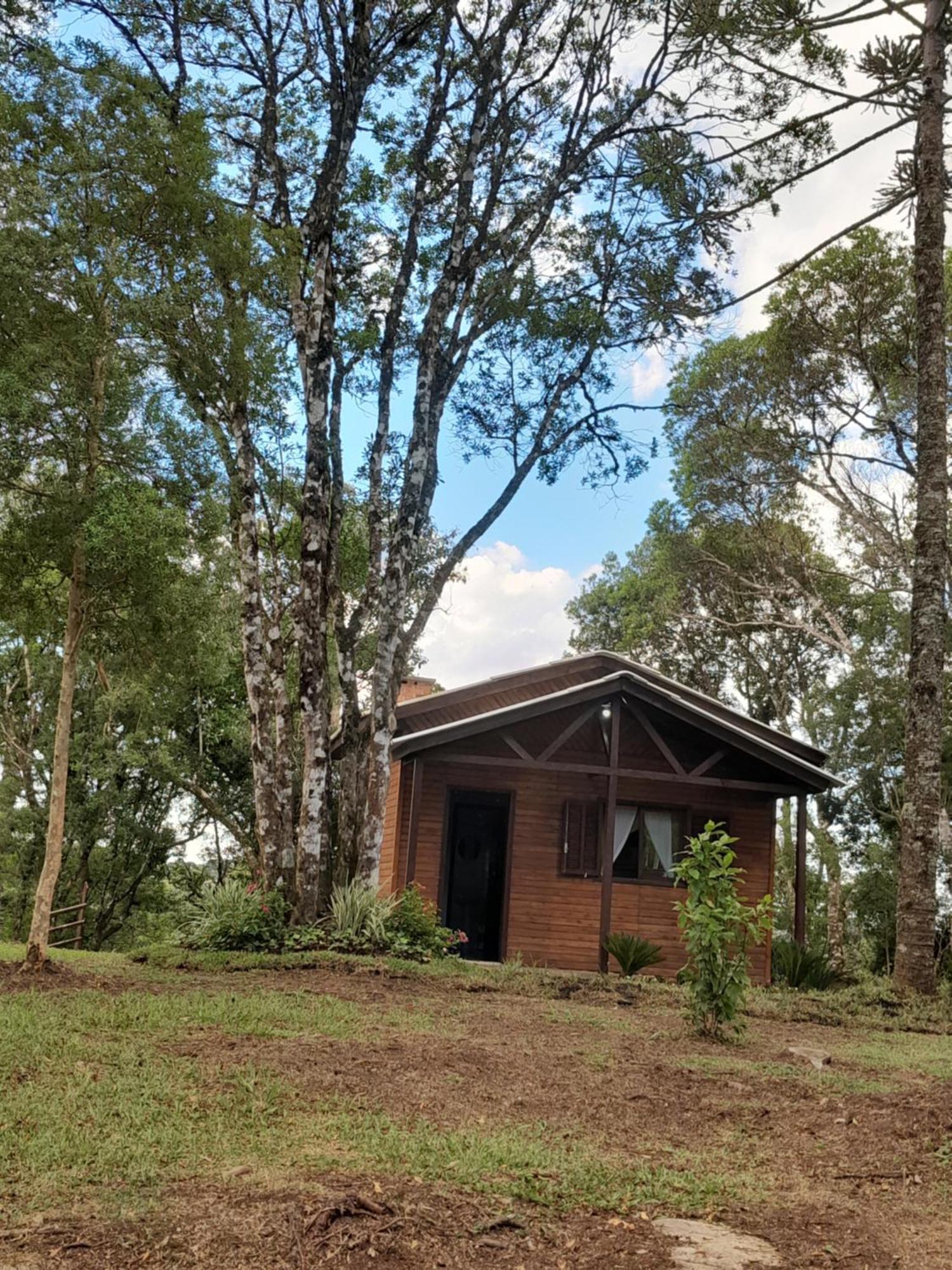 Dos Pinheiros Sao Francisco de Paula (Rio Grande do Sul)