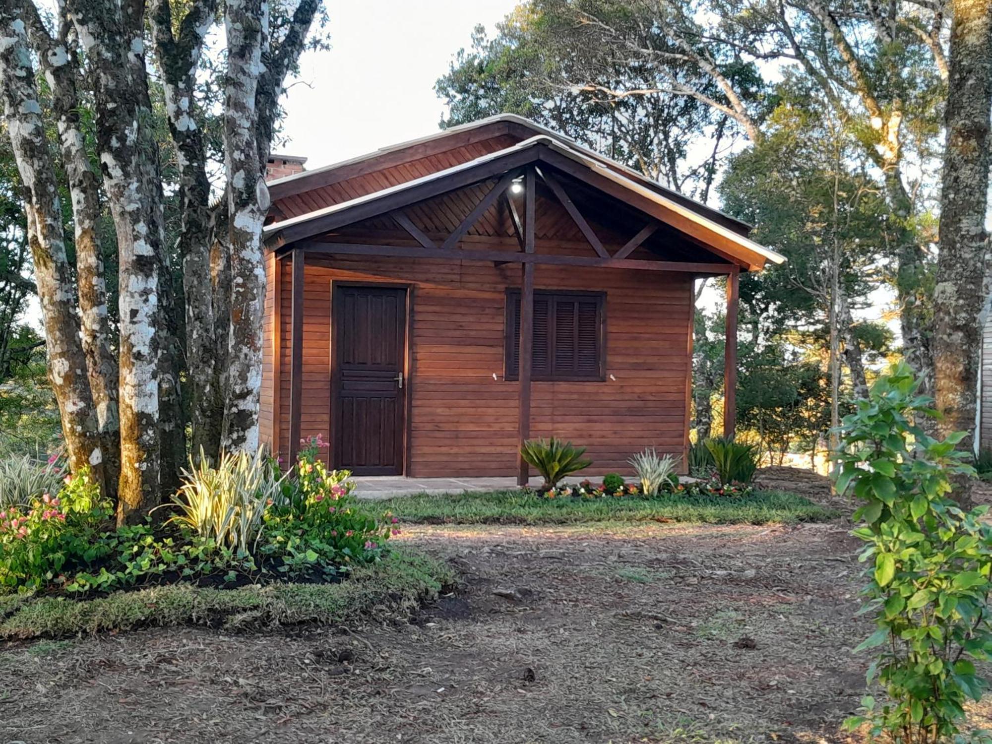 Dos Pinheiros Holiday home