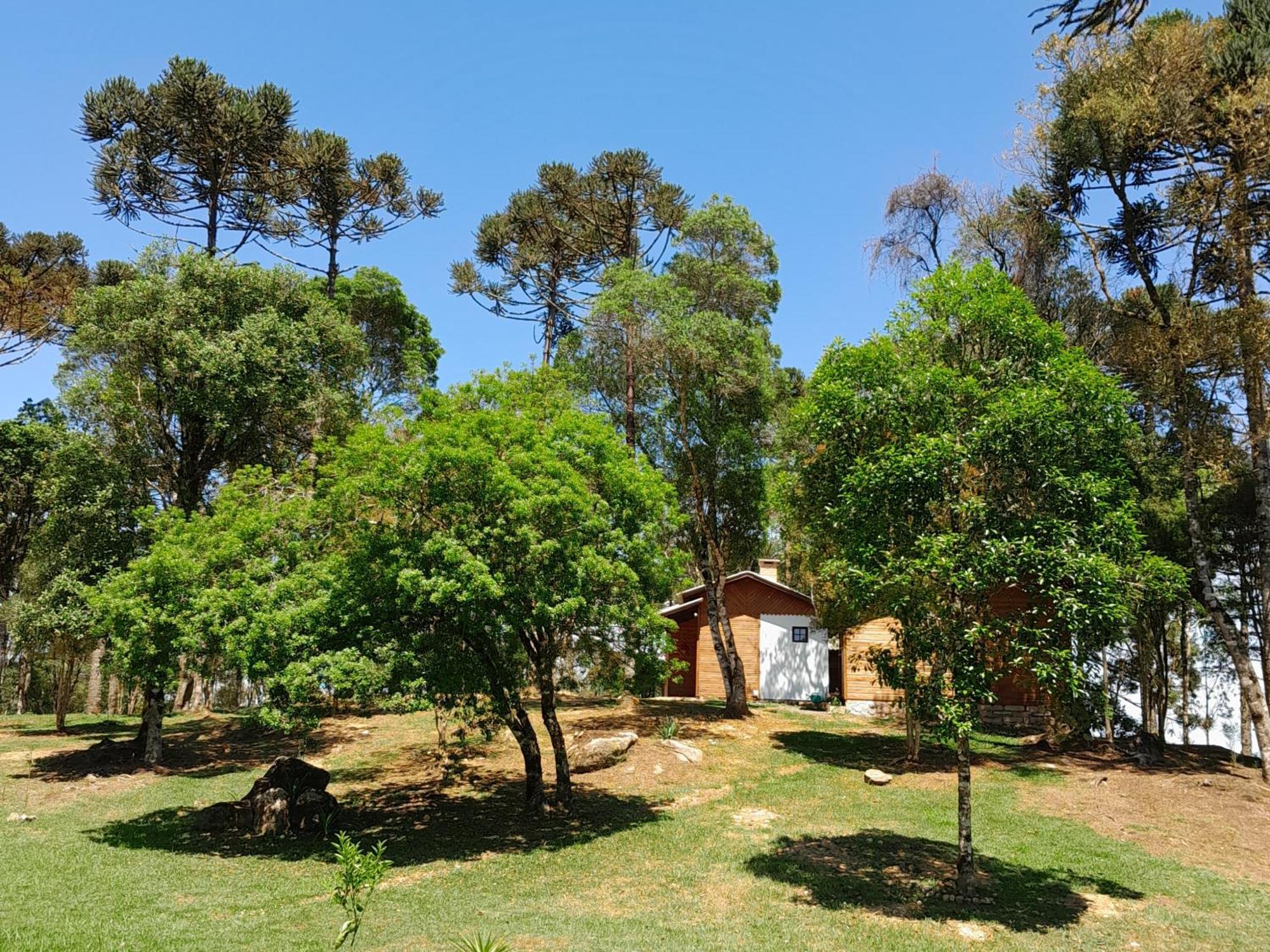 Holiday home Dos Pinheiros *