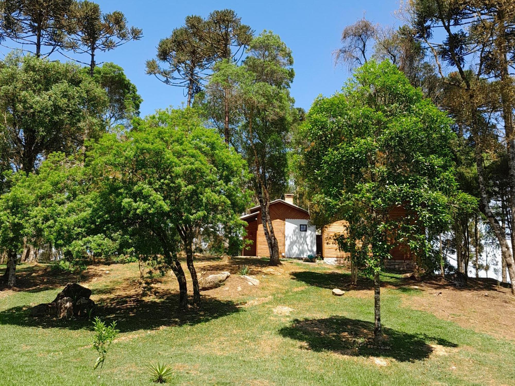 Holiday home Dos Pinheiros *